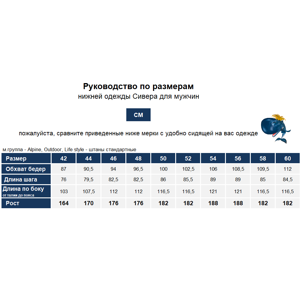 Т/б (низ) Годобль П(м) (Мужской; 56-188; Шторм)